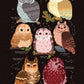 Owls of North America Paperback Notebook