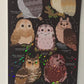 Owls of North America Poster Print